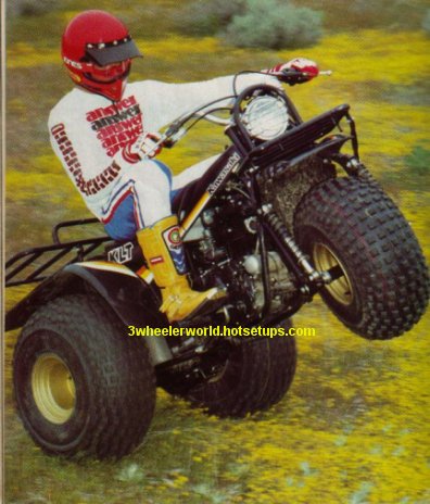 Kawasaki Prairie 250