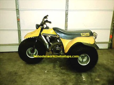 suzuki 3 wheeler