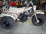 Click image for larger version. 

Name:	kltduckster1.jpg 
Views:	90 
Size:	251.0 KB 
ID:	131242