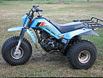 Click image for larger version. 

Name:	IMG_4014.jpg 
Views:	1873 
Size:	265.9 KB 
ID:	141395