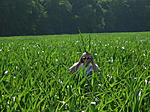 Click image for larger version. 

Name:	SANY0624.jpg 
Views:	420 
Size:	266.4 KB 
ID:	149338