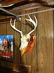 Click image for larger version. 

Name:	5 POINT.jpg 
Views:	12 
Size:	203.7 KB 
ID:	157924
