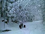 Click image for larger version. 

Name:	DSCF0286.jpg 
Views:	19 
Size:	266.5 KB 
ID:	160633
