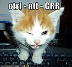Click image for larger version. 

Name:	kitten ctrl alt grr.jpeg 
Views:	1 
Size:	20.3 KB 
ID:	161153