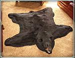 Click image for larger version. 

Name:	A bear.jpg 
Views:	1 
Size:	37.0 KB 
ID:	171048