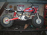 Click image for larger version. 

Name:	Boonie Bike 004 (2).jpg 
Views:	13166 
Size:	246.9 KB 
ID:	171615