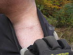 Click image for larger version. 

Name:	IMG_1321.JPG 
Views:	347 
Size:	526.0 KB 
ID:	178428