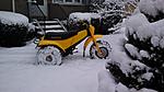 Click image for larger version. 

Name:	Stud Duck Snow 2 12-10-13.jpg 
Views:	59 
Size:	1.48 MB 
ID:	182183