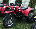 Click image for larger version. 

Name:	250sxbattle.jpg 
Views:	1994 
Size:	184.5 KB 
ID:	186105