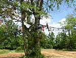 Click image for larger version. 

Name:	P1270484.jpg 
Views:	477 
Size:	2.93 MB 
ID:	196268