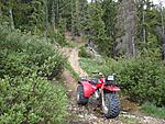 Click image for larger version.&nbsp;

Name:	BigRedColorado.jpg&nbsp;
Views:	41&nbsp;
Size:	258.5 KB&nbsp;
ID:	196918