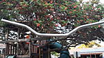 Click image for larger version. 

Name:	20140917_182129.jpg 
Views:	65 
Size:	1.45 MB 
ID:	201341
