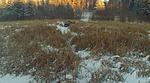 Click image for larger version. 

Name:	04.jpg 
Views:	26 
Size:	662.4 KB 
ID:	205100