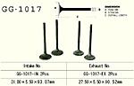 Click image for larger version.&nbsp;

Name:	350x Valve Dimensions.jpg&nbsp;
Views:	11&nbsp;
Size:	38.4 KB&nbsp;
ID:	215730