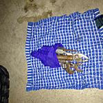 Click image for larger version.&nbsp;

Name:	image.jpg&nbsp;
Views:	30&nbsp;
Size:	1.59 MB&nbsp;
ID:	228734