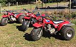 Click image for larger version. 

Name:	3wheelers.jpg 
Views:	71 
Size:	465.9 KB 
ID:	234866