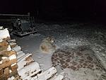 Click image for larger version. 

Name:	Hank Patio2.jpg 
Views:	24 
Size:	1.08 MB 
ID:	248951