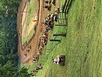 Click image for larger version. 

Name:	E6644268-14FA-4720-872D-17365F48FFE6.jpeg 
Views:	552 
Size:	2.47 MB 
ID:	253073