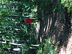 Click image for larger version. 

Name:	D8EB6453-5311-4ECF-91F4-1117E0E4A064.jpeg 
Views:	18 
Size:	2.75 MB 
ID:	254844