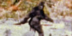 Click image for larger version.&nbsp;

Name:	This-Just-In-BigFoot-is-Blurry.jpg&nbsp;
Views:	8&nbsp;
Size:	331.8 KB&nbsp;
ID:	259163