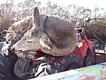 Click image for larger version. 

Name:	212.JPG 
Views:	11 
Size:	1.82 MB 
ID:	263879