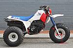 Click image for larger version.&nbsp;

Name:	350X front shock dimensions.jpg&nbsp;
Views:	11&nbsp;
Size:	277.9 KB&nbsp;
ID:	270627