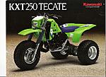 Click image for larger version. 

Name:	162181104_1986-87-kawasaki-kxt250-kxt-250-tecate-oem-nos-front-.jpg 
Views:	48 
Size:	52.5 KB 
ID:	258509