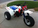 Click image for larger version. 

Name:	hondaatc350x2.jpg 
Views:	25 
Size:	96.2 KB 
ID:	253120