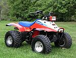 Click image for larger version. 

Name:	Honda_TRX-200SX-FOURTRAX.jpg 
Views:	4 
Size:	45.1 KB 
ID:	267431