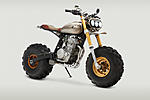 Click image for larger version. 

Name:	honda-xr650l-1.jpg 
Views:	12 
Size:	141.4 KB 
ID:	261129