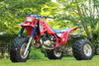 RIDE-RED 250r's Avatar