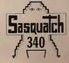 Sasquatch's Avatar