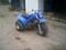mesty